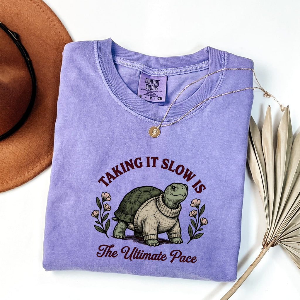 Taking It Slow Turtle Tee – Funny Relaxed Life Graphic Tee