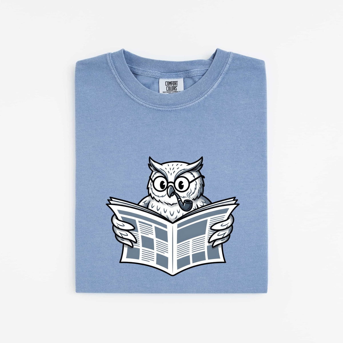 No Time for Your Shenanigans Owl Tee – Funny Book Lover Reading Tee