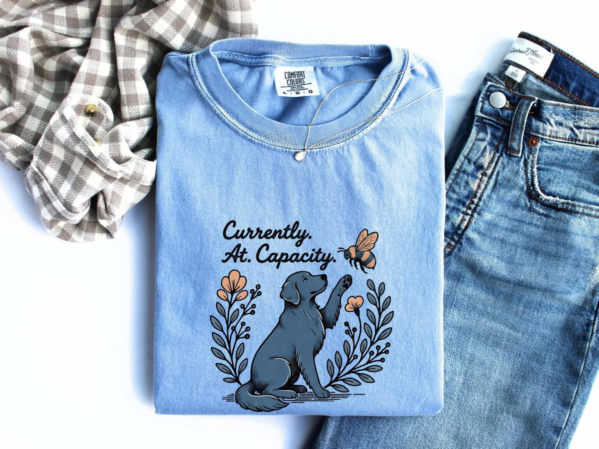 Currently At Capacity Dog Shirt – Funny Dog Lover Tee – Overwhelmed Introvert Tee – Cute Dog & Bee Graphic Shirt