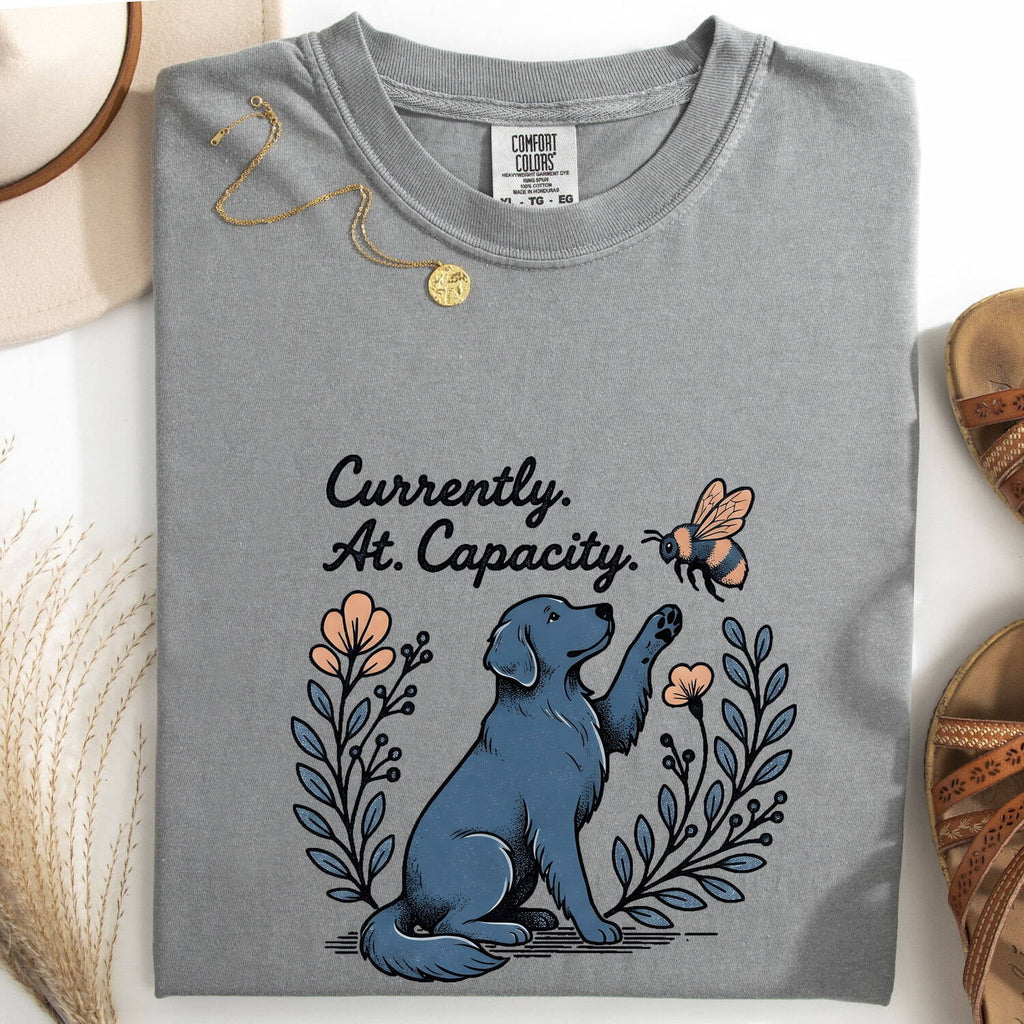 Currently At Capacity Dog Shirt – Funny Dog Lover Tee – Overwhelmed Introvert Tee – Cute Dog & Bee Graphic Shirt