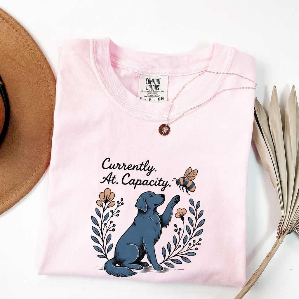 Currently At Capacity Dog Shirt – Funny Dog Lover Tee – Overwhelmed Introvert Tee – Cute Dog & Bee Graphic Shirt