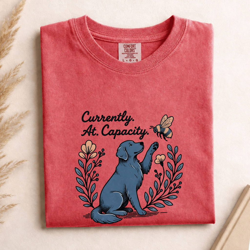 Currently At Capacity Dog Shirt – Funny Dog Lover Tee – Overwhelmed Introvert Tee – Cute Dog & Bee Graphic Shirt