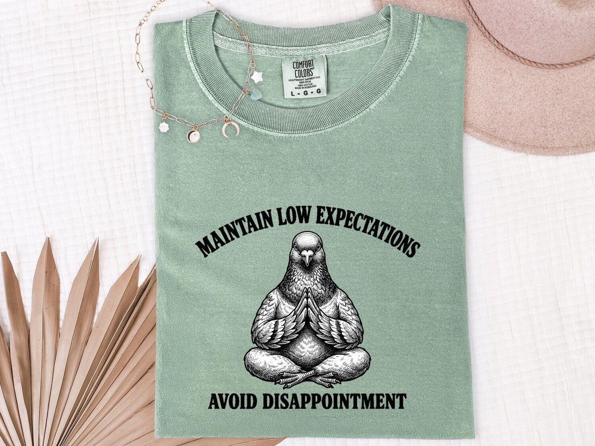Funny Pigeon Shirt, Maintain Low Expectations Tee, Sarcastic Bird Tee