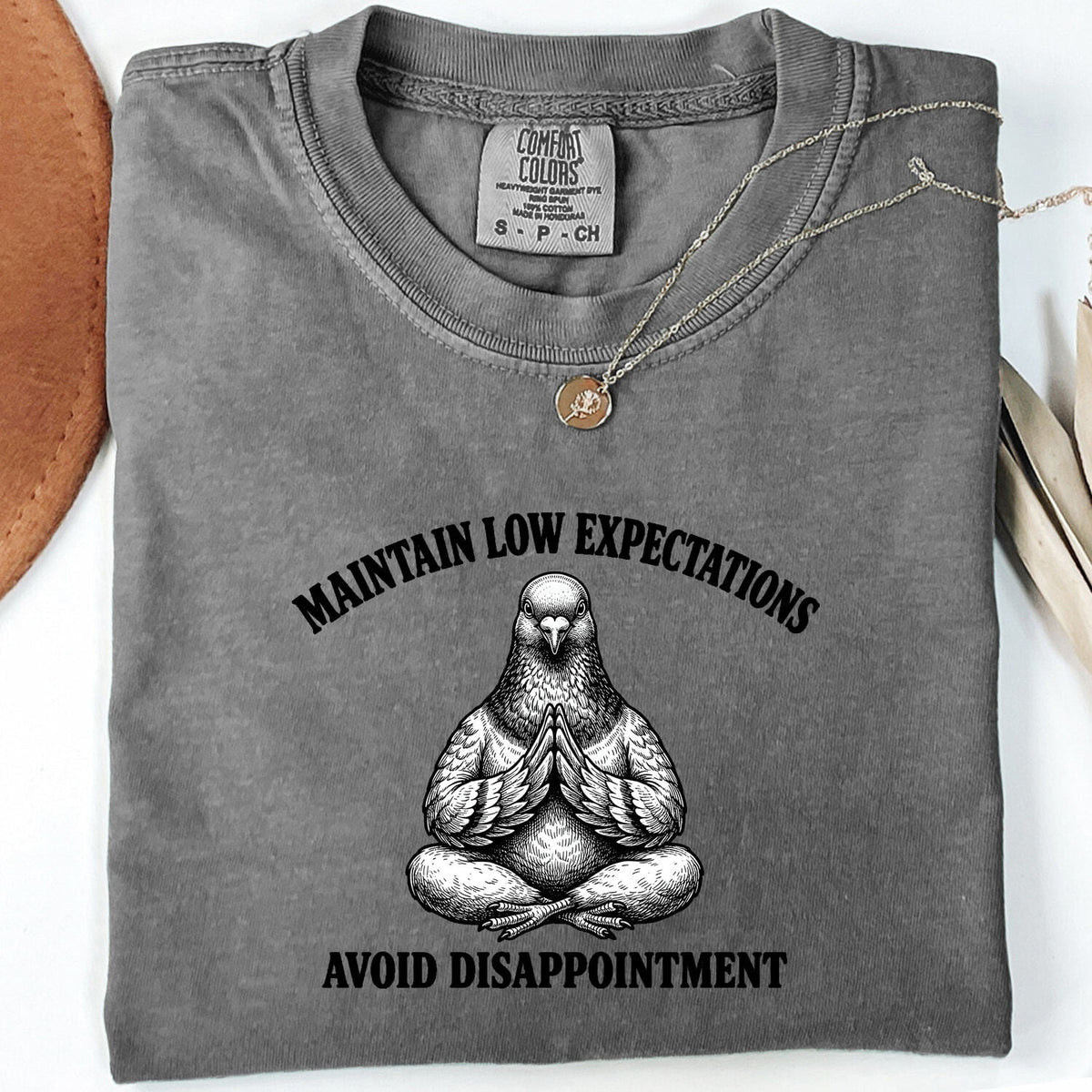 Funny Pigeon Shirt, Maintain Low Expectations Tee, Sarcastic Bird Tee
