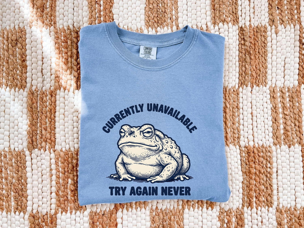 Currently Unavailable Shirt, Try Again Never Tee, Funny Frog Shirt
