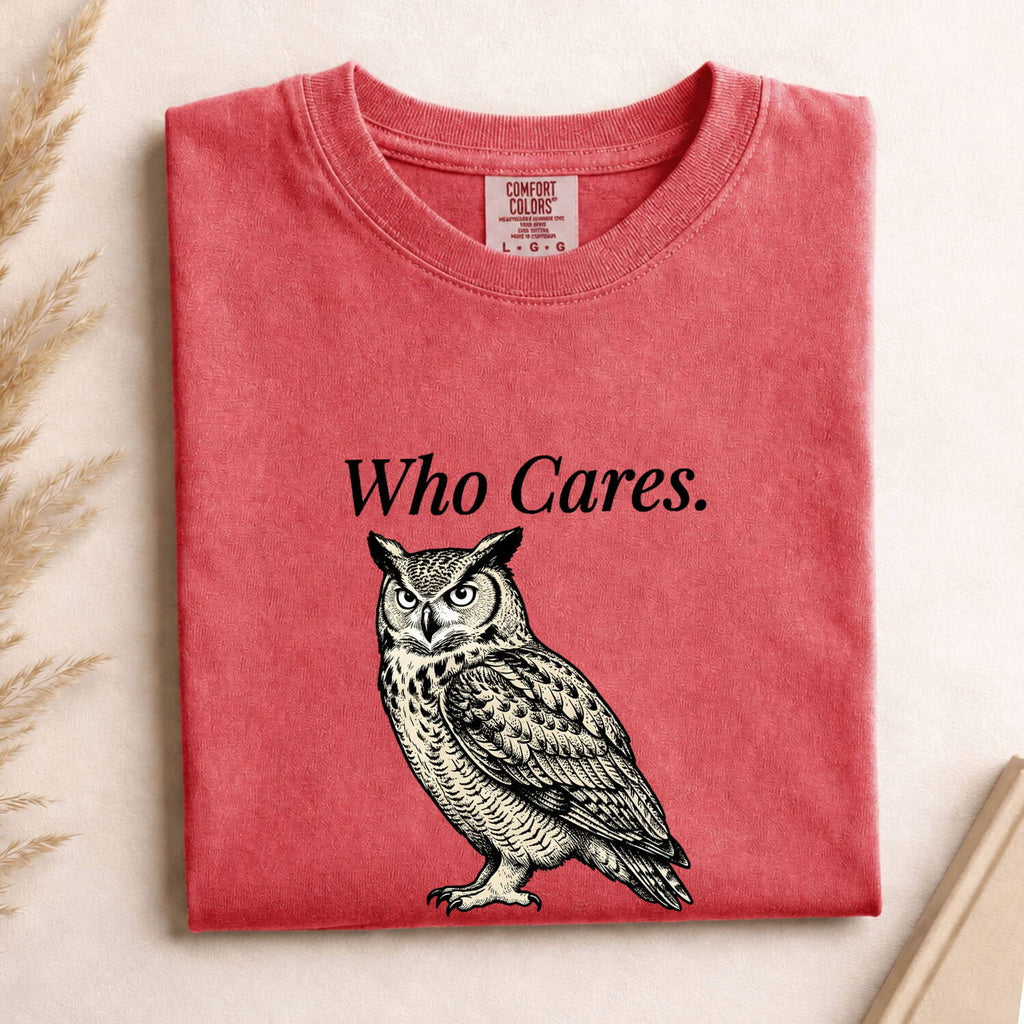 Who Cares Owl Shirt, Funny Sarcastic Owl Tee, Vintage Owl Graphic Shirt, Introvert Humor Tee, Owl Lover Gift