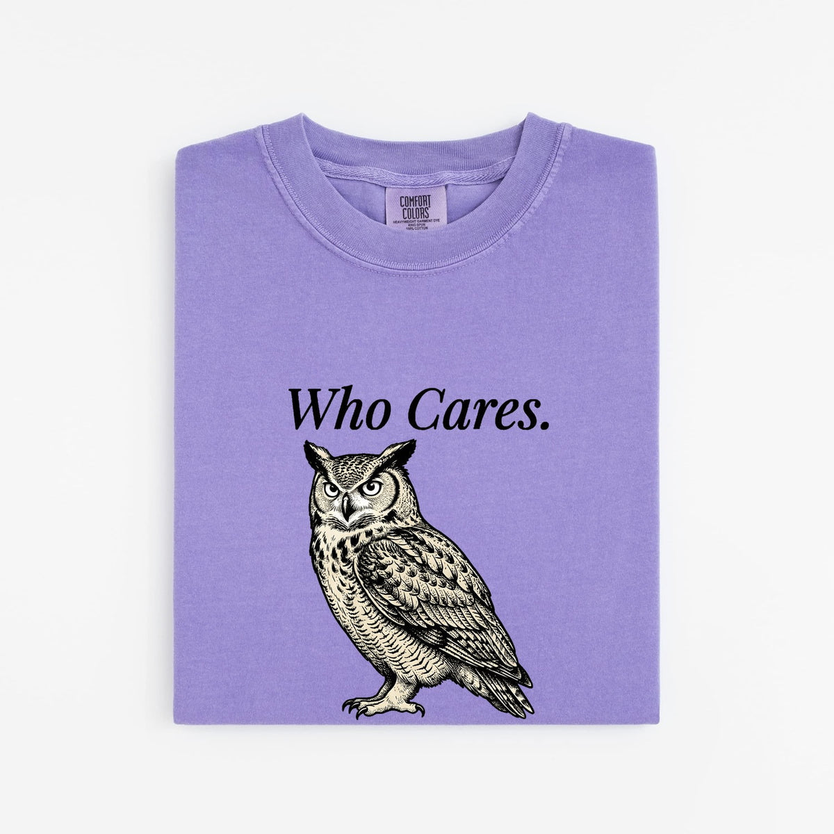 Who Cares Owl Shirt, Funny Sarcastic Owl Tee, Vintage Owl Graphic Shirt, Introvert Humor Tee, Owl Lover Gift