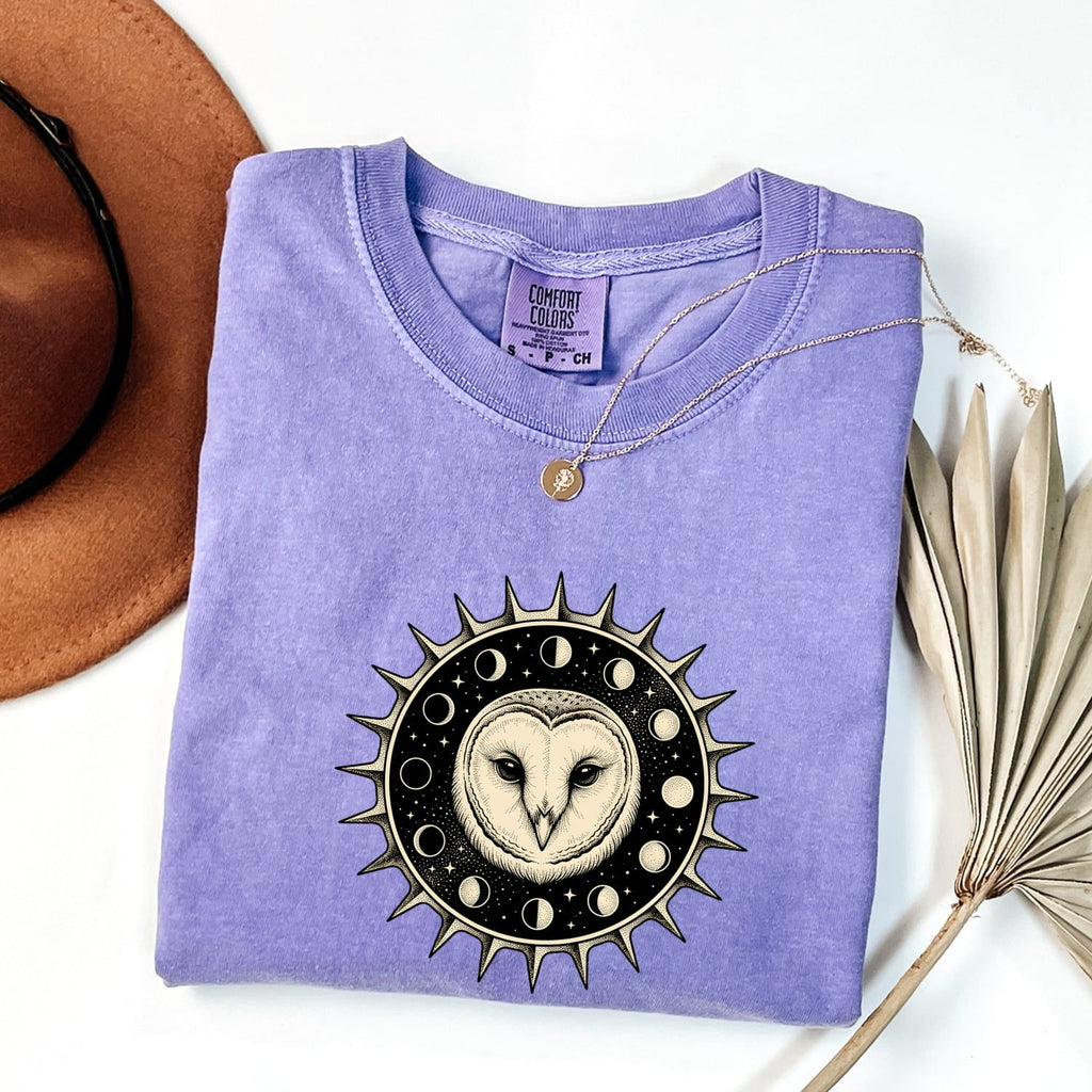 Celestial Owl Shirt, Moon Phase Owl Tee, Mystical Barn Owl Shirt, Gothic Celestial Tee, Owl Lover Gift for Women
