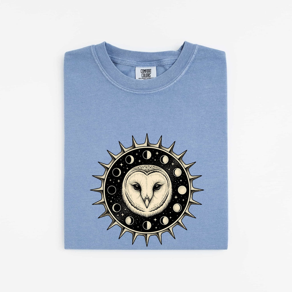 Celestial Owl Shirt, Moon Phase Owl Tee, Mystical Barn Owl Shirt, Gothic Celestial Tee, Owl Lover Gift for Women