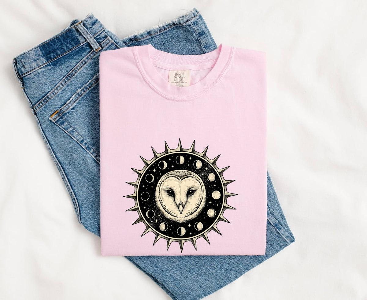 Celestial Owl Shirt, Moon Phase Owl Tee, Mystical Barn Owl Shirt, Gothic Celestial Tee, Owl Lover Gift for Women