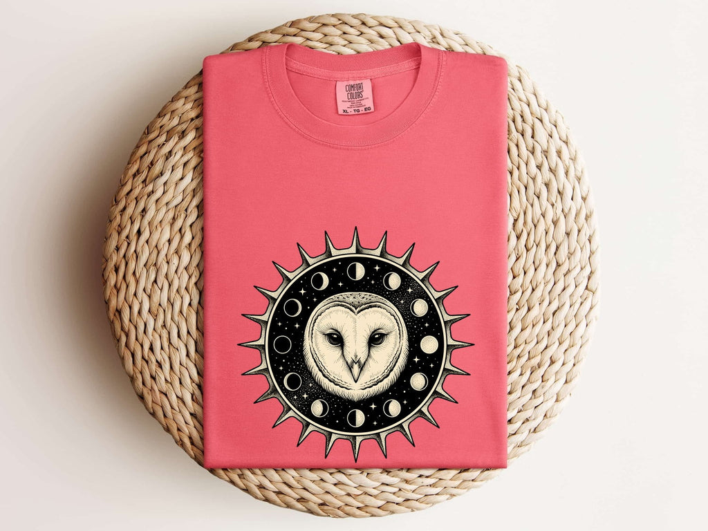 Celestial Owl Shirt, Moon Phase Owl Tee, Mystical Barn Owl Shirt, Gothic Celestial Tee, Owl Lover Gift for Women
