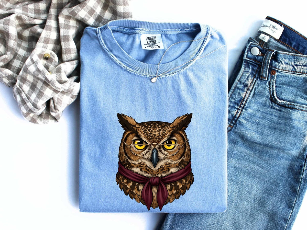 Distinguished Owl Shirt – Vintage Wise Owl Graphic Tee