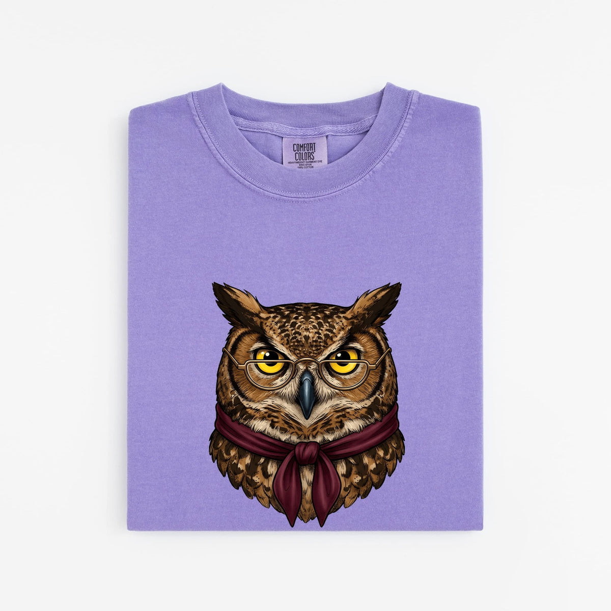Distinguished Owl Shirt – Vintage Wise Owl Graphic Tee