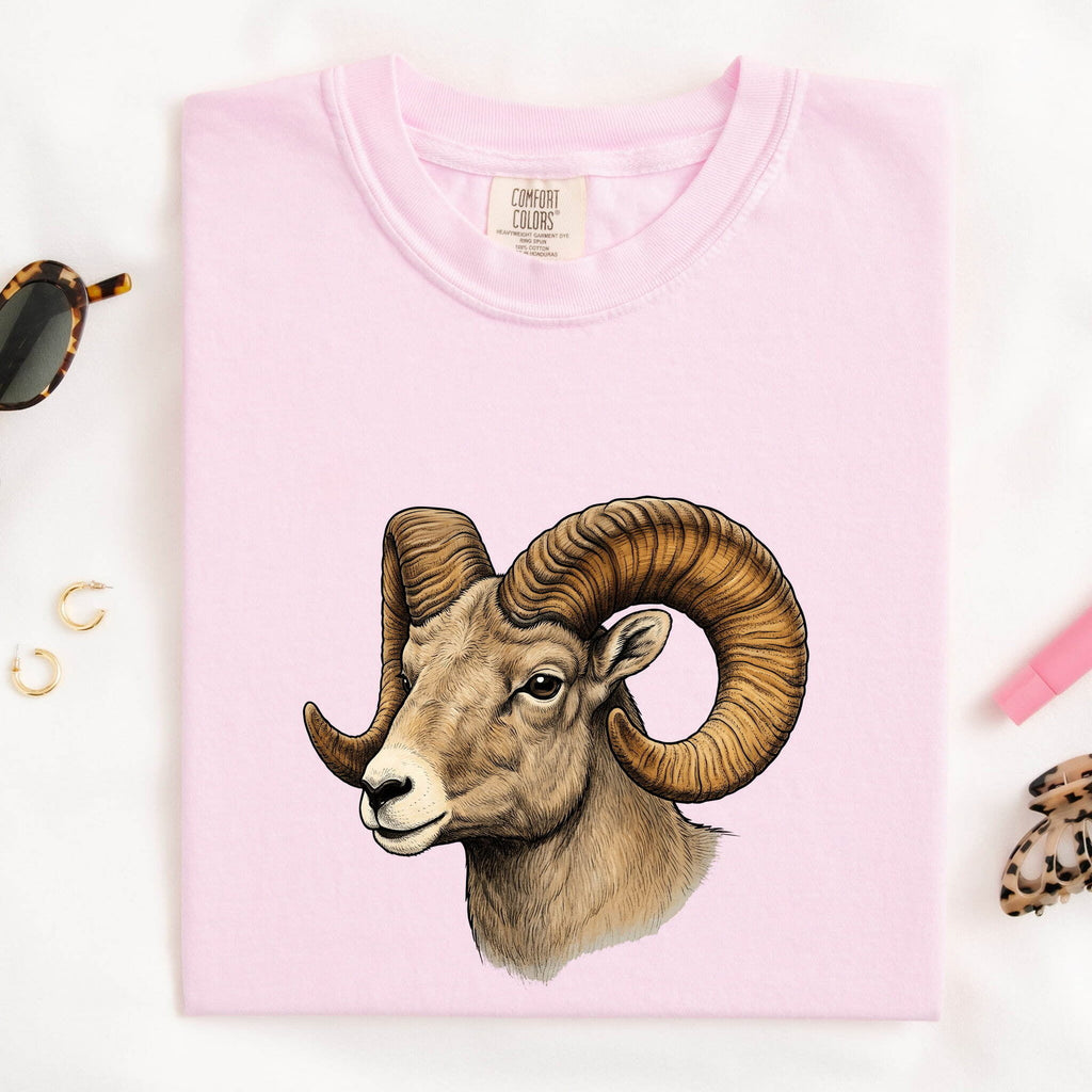 Ram Shirt – Bighorn Sheep Wildlife Graphic Tee