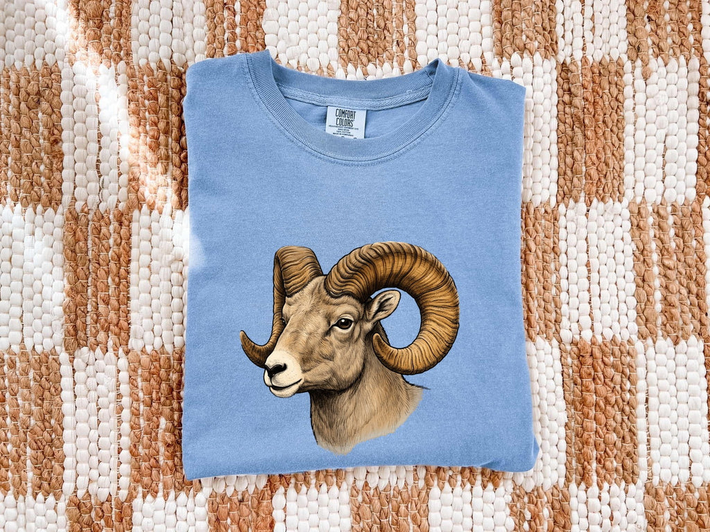 Ram Shirt – Bighorn Sheep Wildlife Graphic Tee