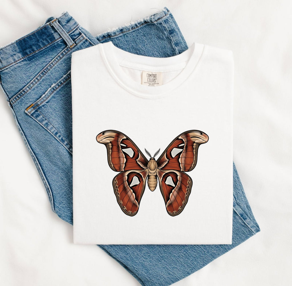 Vintage Moth Shirt – Insect Entomology Graphic Tee
