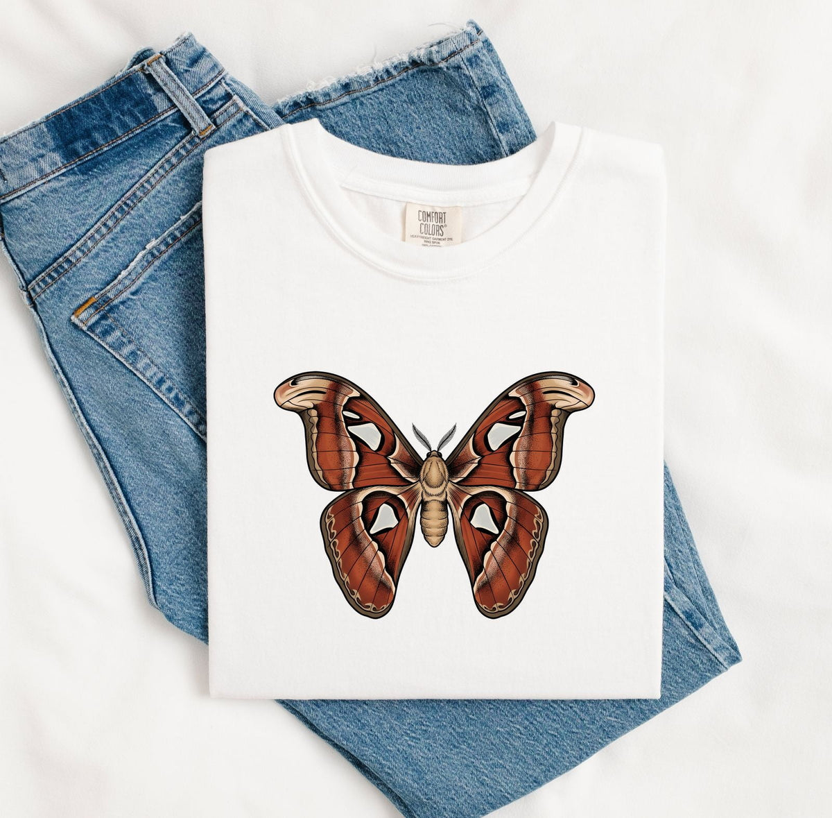 Vintage Moth Shirt – Insect Entomology Graphic Tee