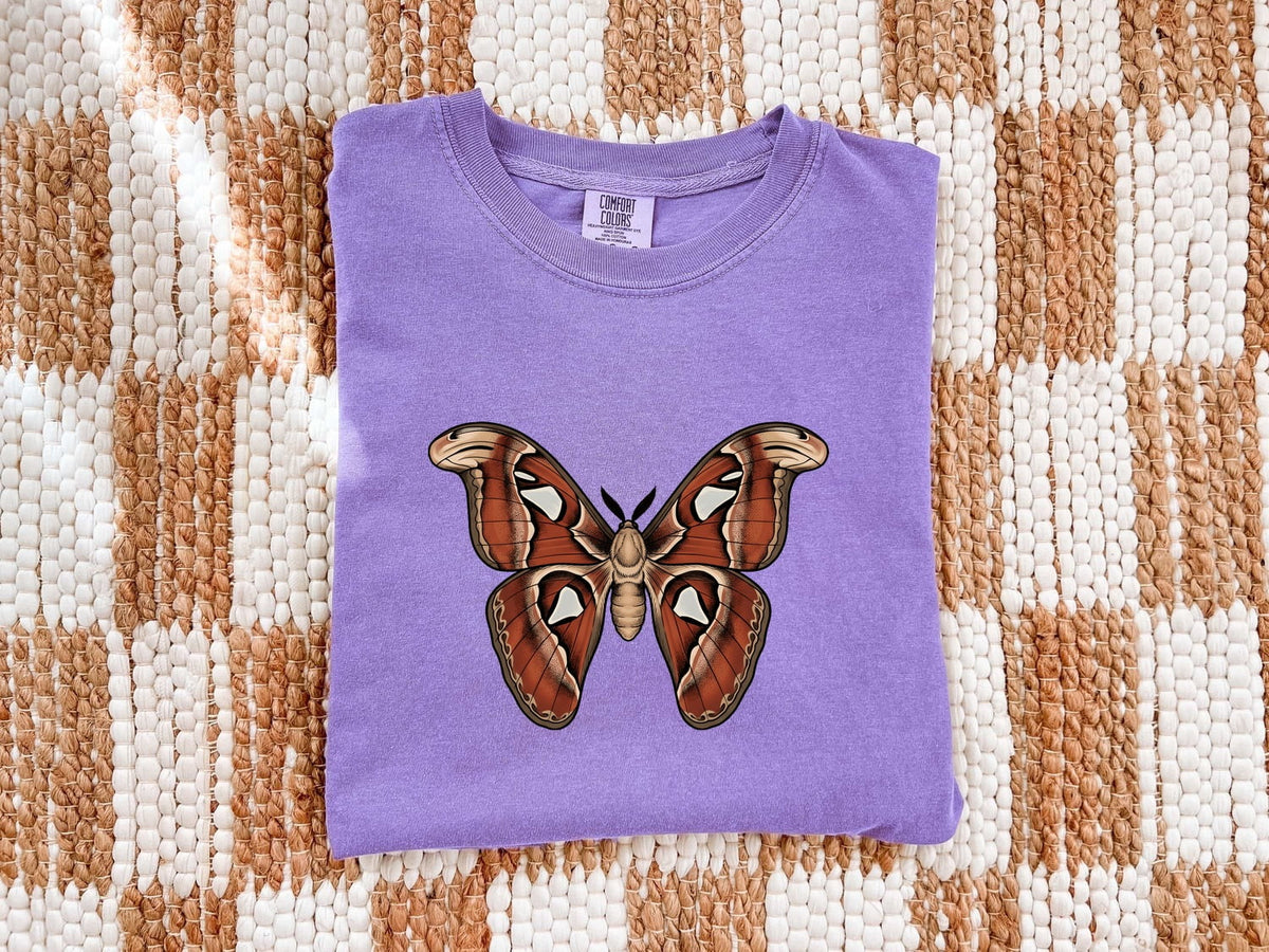 Vintage Moth Shirt – Insect Entomology Graphic Tee