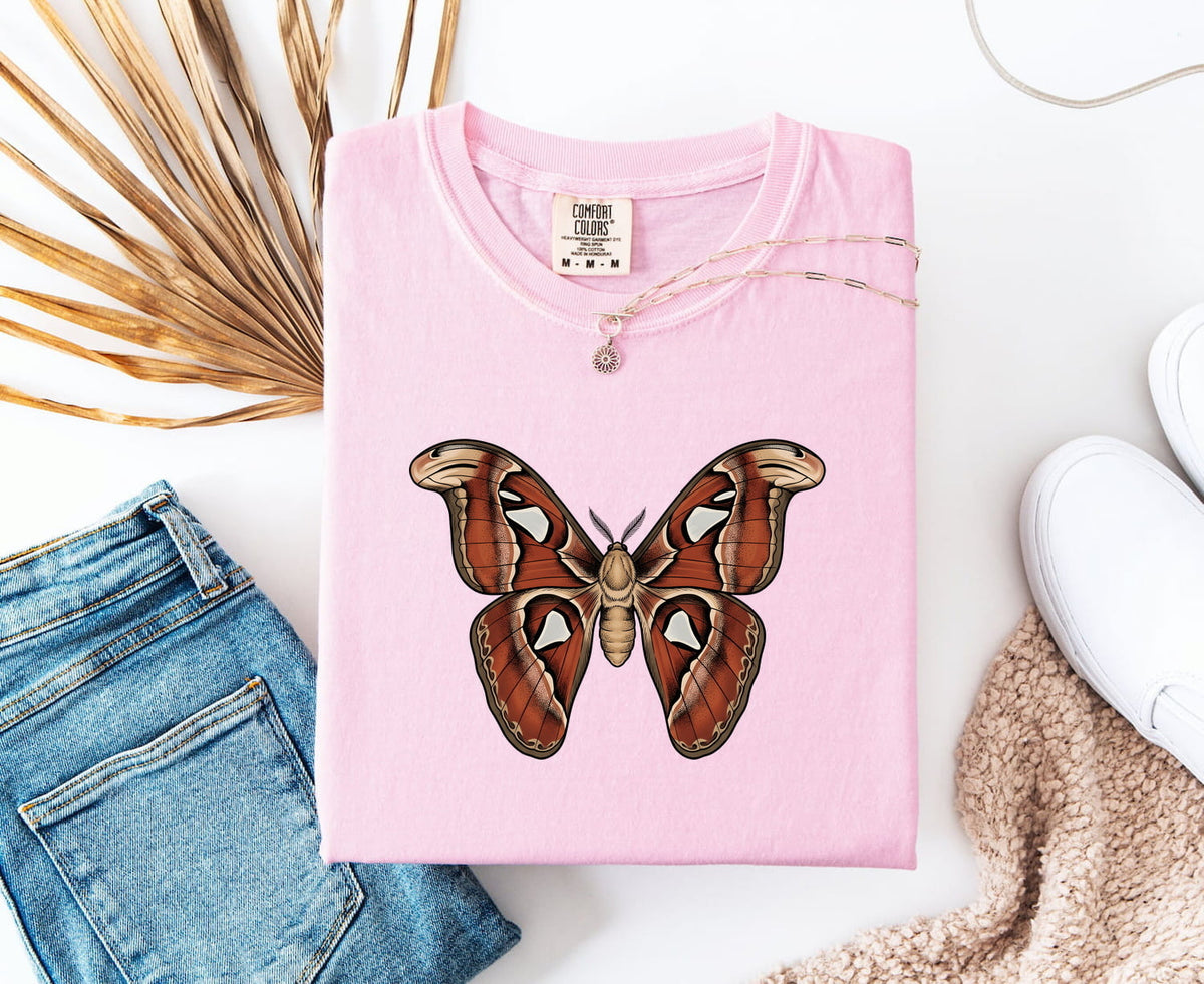 Vintage Moth Shirt – Insect Entomology Graphic Tee