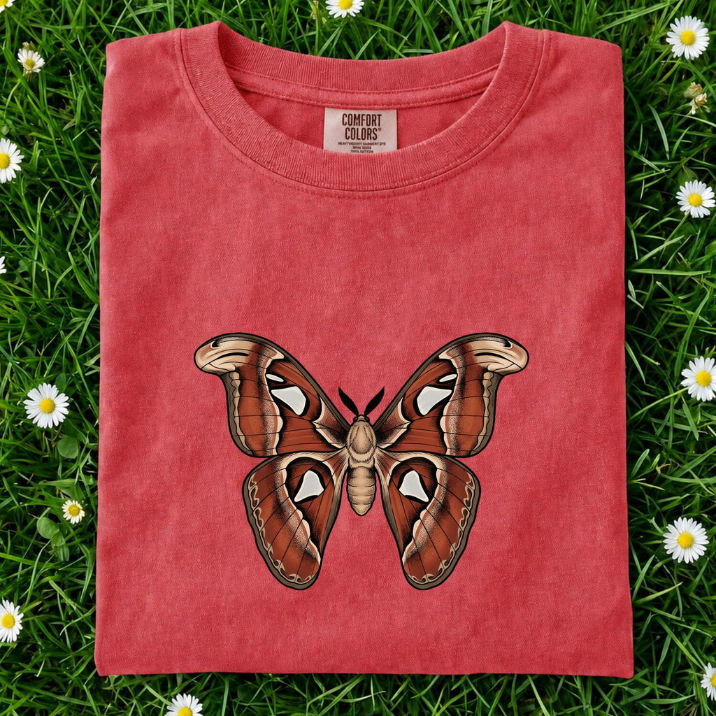 Vintage Moth Shirt – Insect Entomology Graphic Tee