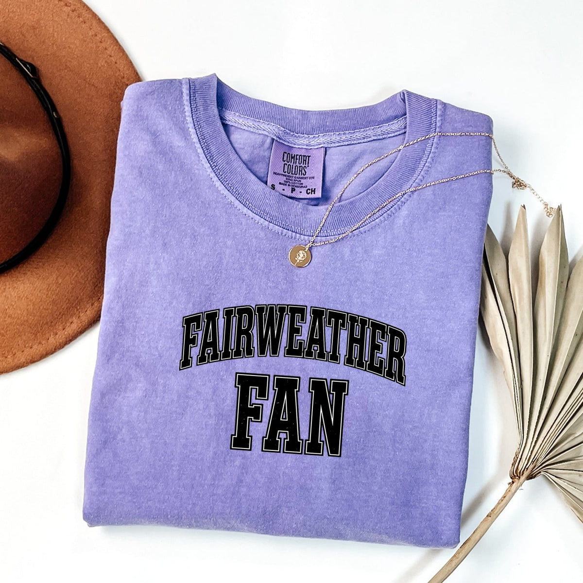 Fairweather Fan T-Shirt – Funny Sports Humor Tee