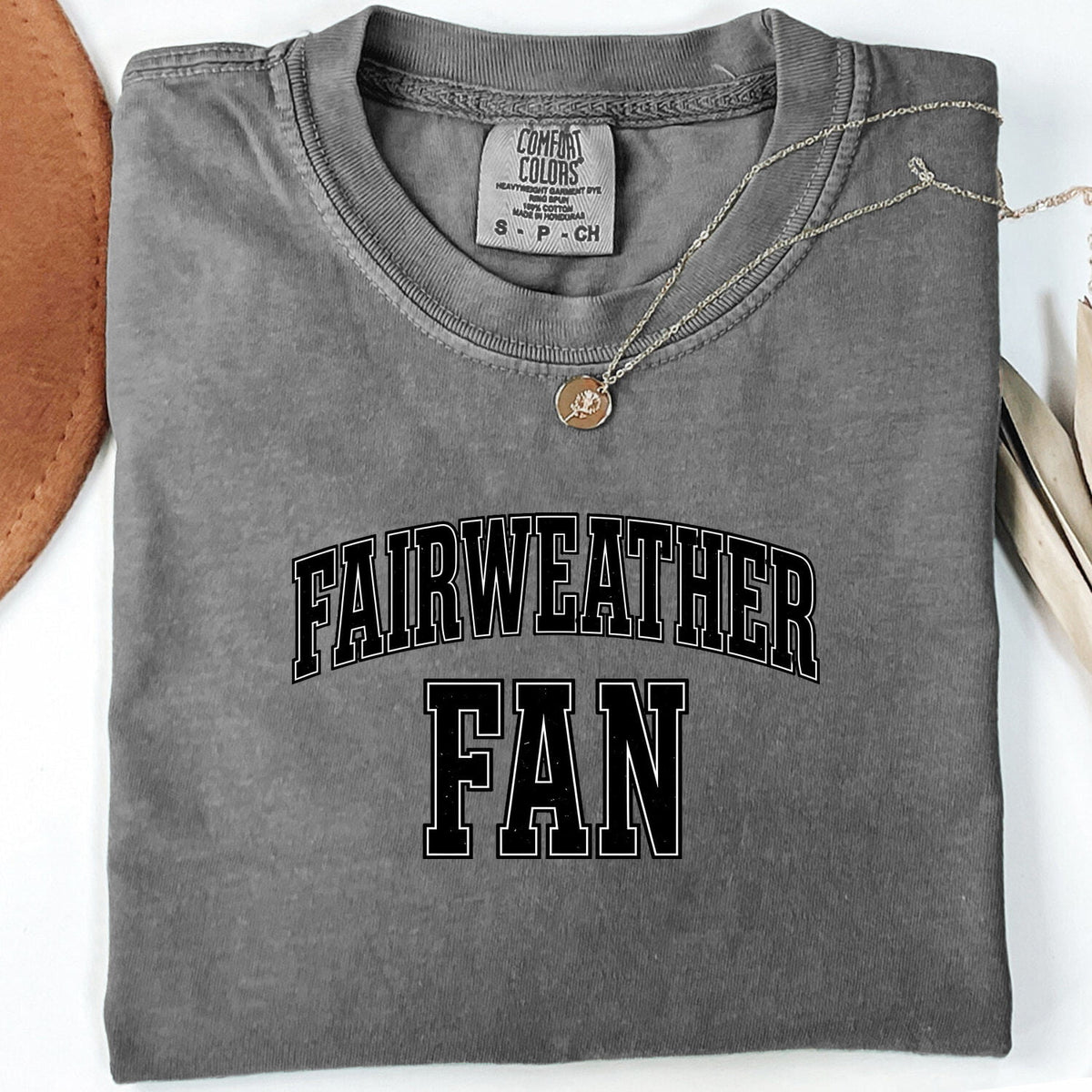 Fairweather Fan T-Shirt – Funny Sports Humor Tee