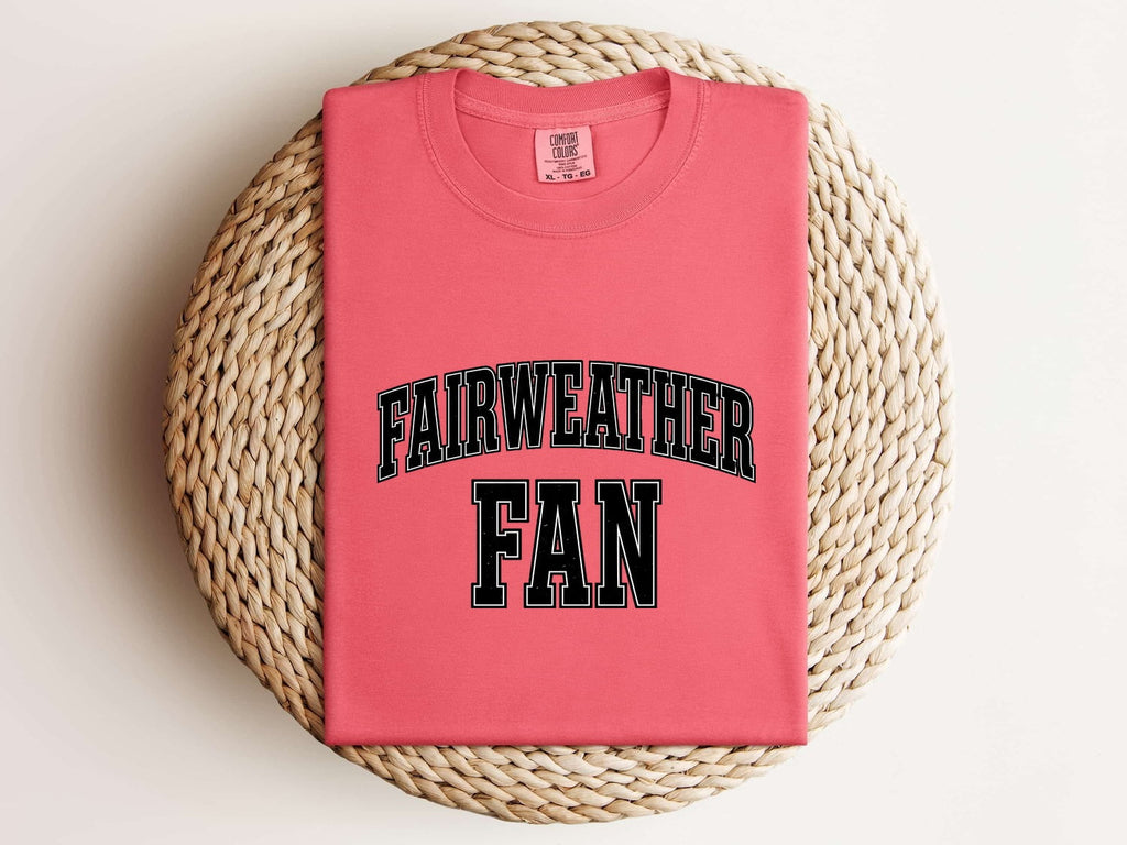 Fairweather Fan T-Shirt – Funny Sports Humor Tee